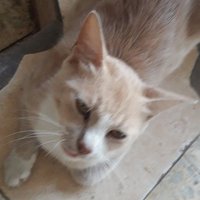 Amer (@amer30489172) 's Twitter Profile