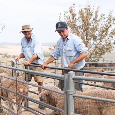 austingrace01's profile picture. Merino sheep and wool enthusiast 🐏🐑 Bachelor of Agricultural Business Management 📚🎓