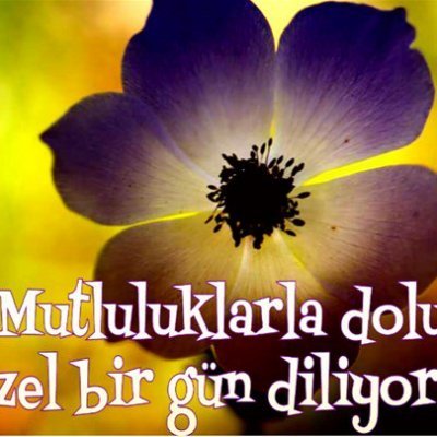 maktube_akca's profile picture. Keşke çocukken fazla mutlu olmayıp birazını da bu zamanlara saklasaydım. Lazım oluyor arada. #sanalshow #camshow #görüntülüshow #ſanalſhow