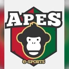 APES Associação Portuguesa Esports