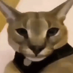 hecker1000's profile picture. I make little discord movies :)