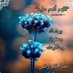 سهام الحب (@qv6emivwwkwexlf) Twitter profile photo سهام الحب (@qv6emivwwkwexlf) Twitter profile photo