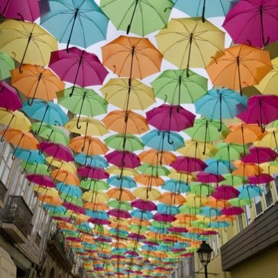 Diliasca45's profile picture. 