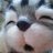 anton_aki's profile image