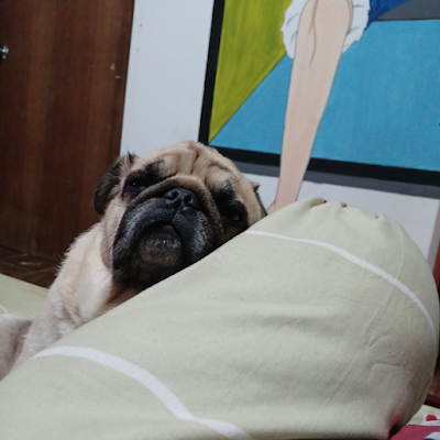 Fm8Poramet's profile picture. 