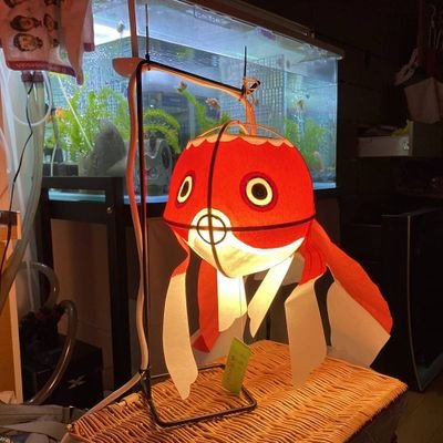 「金魚ちょうちん」のふるさと山口県柳井市より☺️金魚ちょうちんが活躍する姿を紹介ツィートしています✨🙋🙆😍⤴️ #金魚   詳細は「カワノ工業 金魚ちょうちん」で検索🎵(販売もできます😍)  
インスタもよろしく😊https://t.co/kJzAxDfJh1