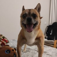 rq20 (@rq20_) 's Twitter Profile