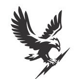Hawk | صقر (@hawkfigures) Twitter profile photo