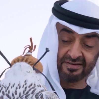 حب الوطن غالي ..🇦🇪