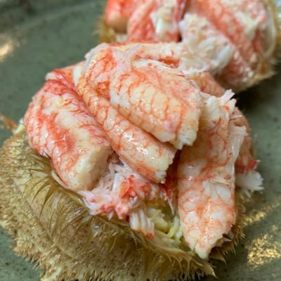 jinpei4982's profile picture. 大森の居酒屋です。仕入れと空席情報等呟いてます。                       香水NGです。08029028798