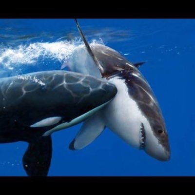 Y0FuhgRtqAi5PWs's profile picture. 元旦那のモラハラ&借金させられ地獄で人生詰んだ。元旦那は現在、養育費を10数年払わず、事業で失敗した負債を私に被せたままひと回り歳下の女性と再婚❤️新築戸建て購入🏠またしても会社設立🏢不動産屋の社長だってさ。 私は養育費なしで子供を育てて元旦那の借金抱えてたんで、今だにシングル。人を不幸にしまで幸せになるって？