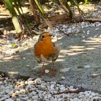 Claire Ackling (@ackerss) 's Twitter Profile