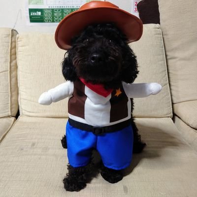 nangokutanken's profile picture. 駆け出しYouTuberです。南の島沖縄県を舞台に、釣りやキャンプをしながら、ヤンバルの森（本島北部の森）の景色や、そこで遭遇した珍しい動物や昆虫たちを紹介したり、ふしぎに思った事などを紹介して行きたいと思います。また、家で飼っているペットについてもその様子を紹介します。