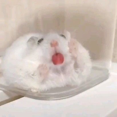 lovebluuuu's profile picture. 