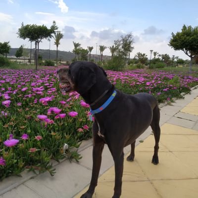 HenryOn23567515's profile picture. 