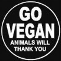 Jeff Fleiss (@vegansknowbest) 's Twitter Profile