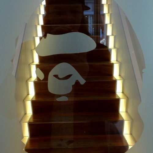 microorganism7's profile picture. 