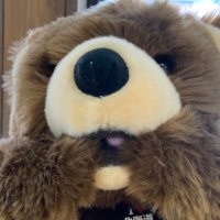 えむ (@baske_go_b) 's Twitter Profile