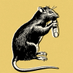ratachillona (@revistarata) Twitter profile photo ratachillona (@revistarata) Twitter profile photo