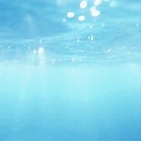 1차 연결봇 (@connect__1_) 's Twitter Profile