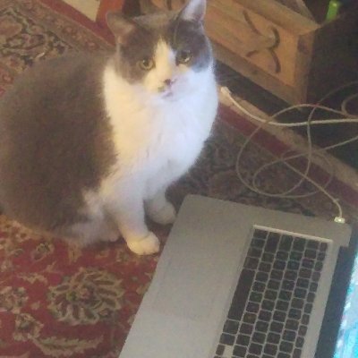 STAKINGSEUSS's profile picture. Web3 developer and node operator on many networks throughout the crypto space...lets break the fiat economy together ;)