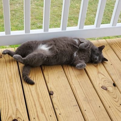 Getover85822847's profile picture. Nonya