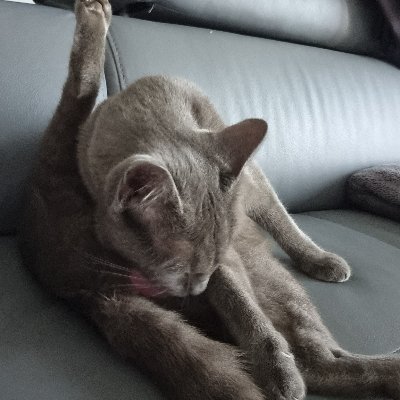 BABAさんのプロフィール画像