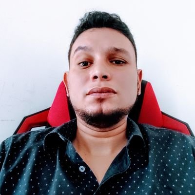 Netron4Pi's profile picture. 