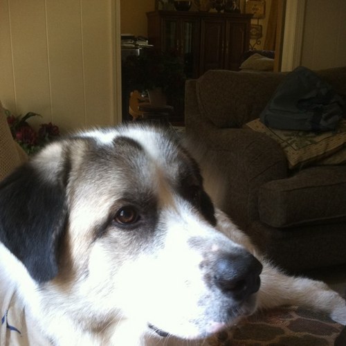 bigtex76's profile picture. Neal Barton