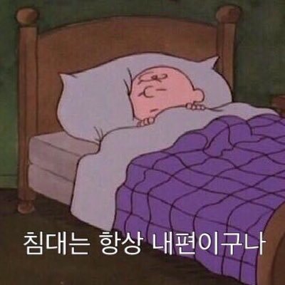 bushisi's profile picture. 중등구거