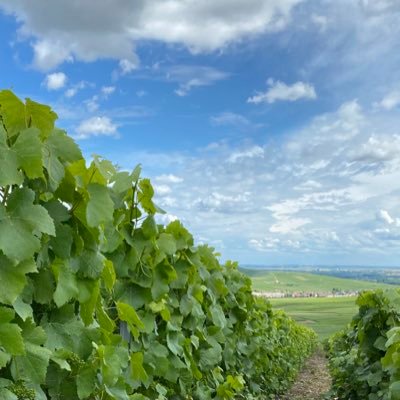 J_Dchsn's profile picture. 