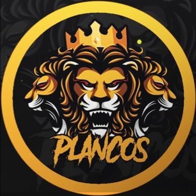 Plancos 2K Profile