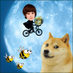 Doge Bee (@TomZenko) Twitter profile photo