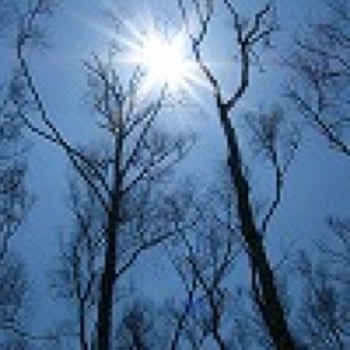 longmingTK's profile picture. 最近、アシュタンガ始めました。ゆっくり続けたいと思います。