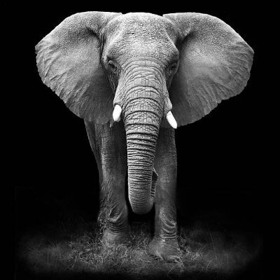 rob_setter's profile picture. Political Blogger and analist.