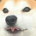 dog (@dogdogdogfeet) Twitter profile photo dog (@dogdogdogfeet) Twitter profile photo