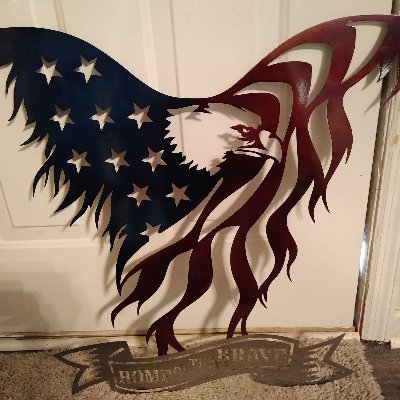 USAF Vet. I'm just here to bust balls and interact with like minded people. I don't tweet much but I do reply to tweets. MAGA ALL THE WAY. FJB.