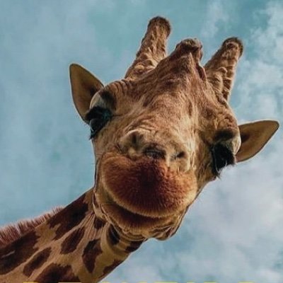 GCraZZialien's profile picture. 👽