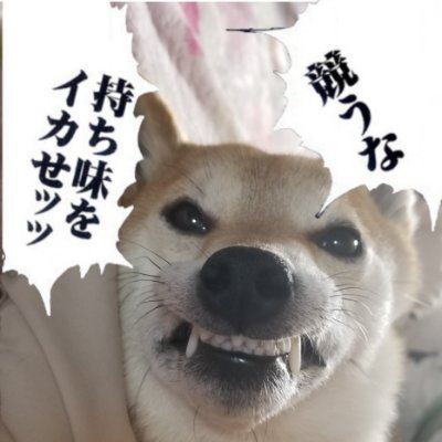 bov32's profile picture. 趣味ガンダムEXVSオーバーブースト、ガンプラ積むこと、バスケットボール、エレキギター放置、マッチングアプリOmiai婚活中、愛犬柴犬、うつ治療中、アラフォー