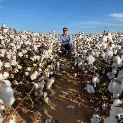 FayFlavio's profile picture. 