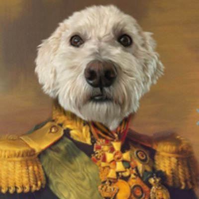 xpraider's profile picture. 🇺🇸PATRIOT🇺🇸, Colorado Conservative, Trump Supporter and Big Big Fan Sirius/XM Channel 37 Octane #MAGA