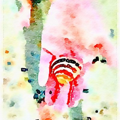 hellojeannie2's profile picture. 