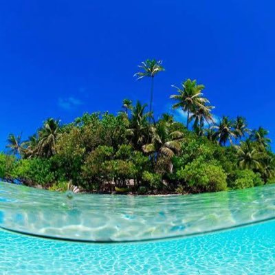 doom19610529's profile picture. Game,Live,Travel,Anime