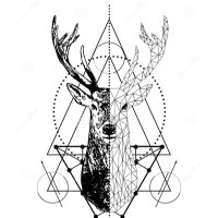 ZooKeepersStag (@stagzoo) 's Twitter Profile