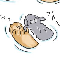 犬と猫と下僕 @リプ遅れ🙏 (@dachsmonji) 's Twitter Profile Photo 犬と猫と下僕 @リプ遅れ🙏 (@dachsmonji) 's Twitter Profile Photo