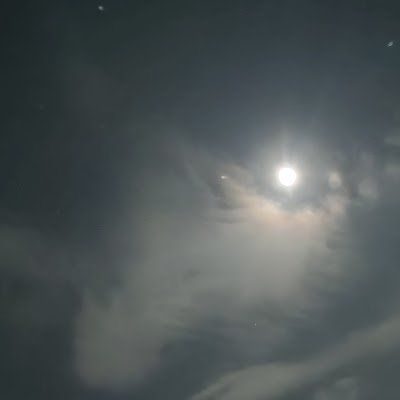 anandvardhan179's profile picture. Student | AI and Machine Learning Enthusiast | Programmer | Member of @CodeChefSRMRMP in CP domain | Chess Gamer | Type writer |