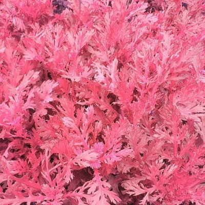 Mami68596030's profile picture. 