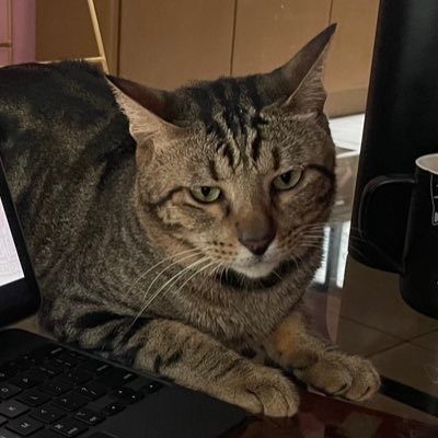 erine21's profile picture. 