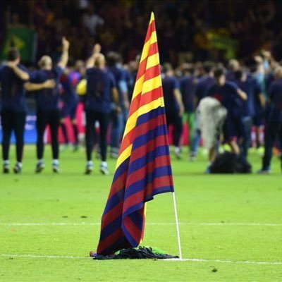 Sin fútbol la vida no sería igual ... socio del Barça.. 29 años de fidelidad ...