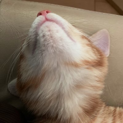 つなかんまる.BOCさんのプロフィール画像
